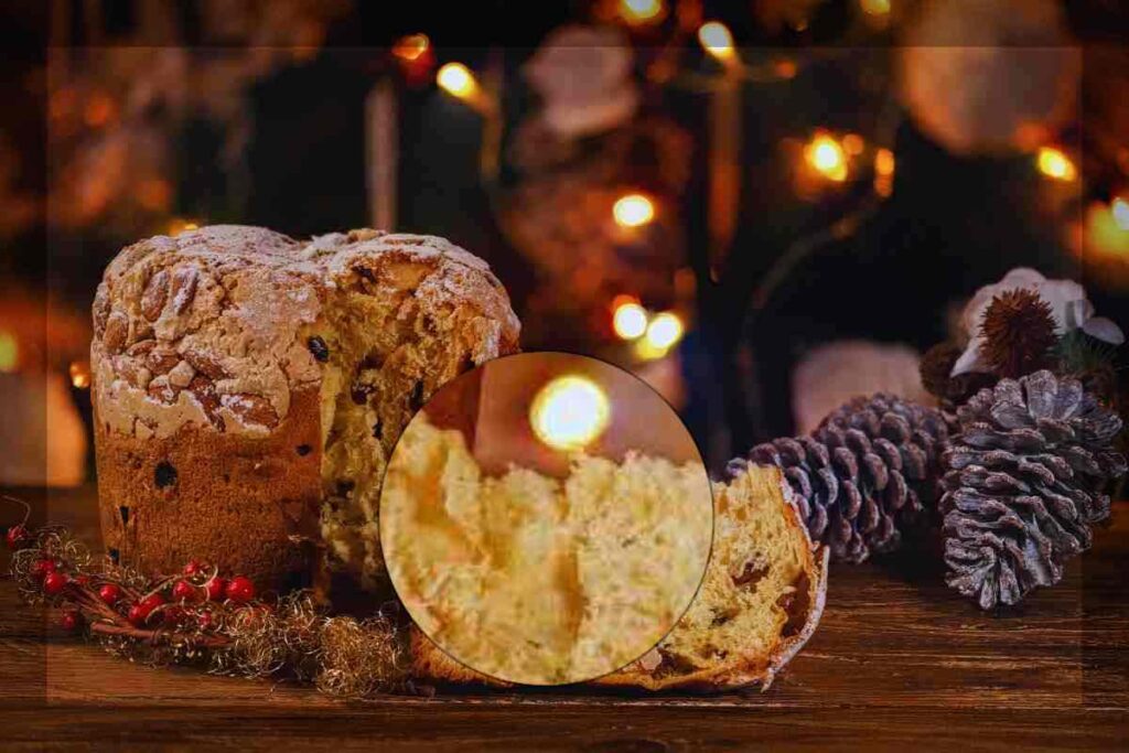 Panettone Top